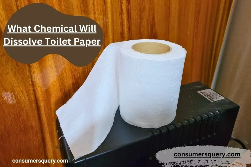 Check These 9 Chemicals That Will Dissolve Toilet Paper
